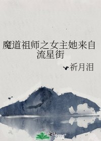魔道祖师之女主她来自流星街